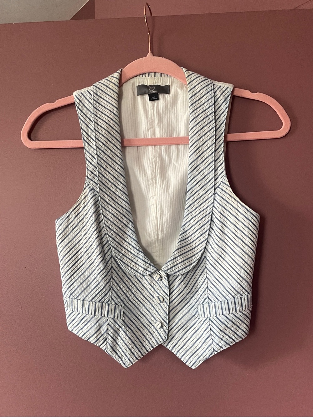 ALEXANDER MCQUEEN PINSTRIPE VEST